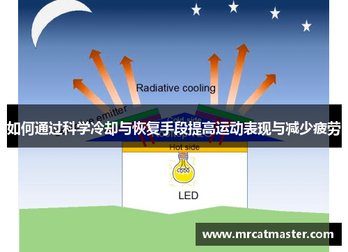 如何通过科学冷却与恢复手段提高运动表现与减少疲劳