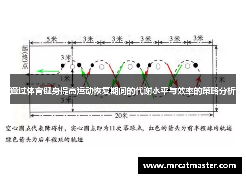 通过体育健身提高运动恢复期间的代谢水平与效率的策略分析